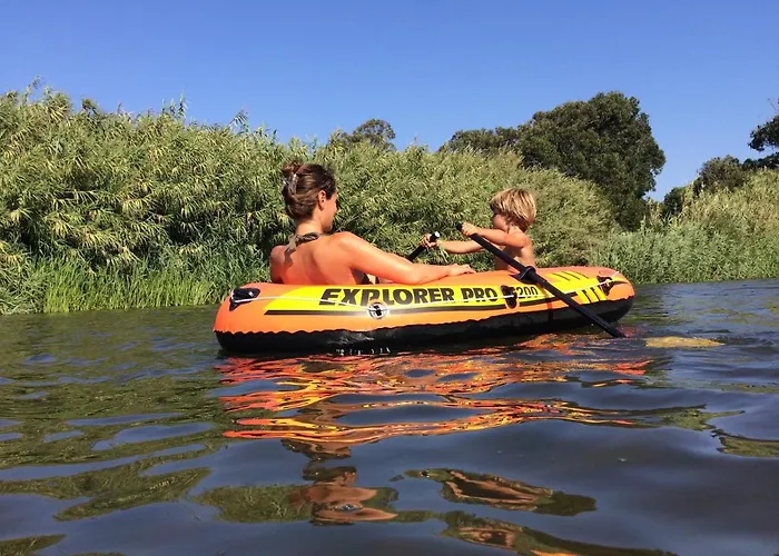 Bico Flores Praia de Mira
