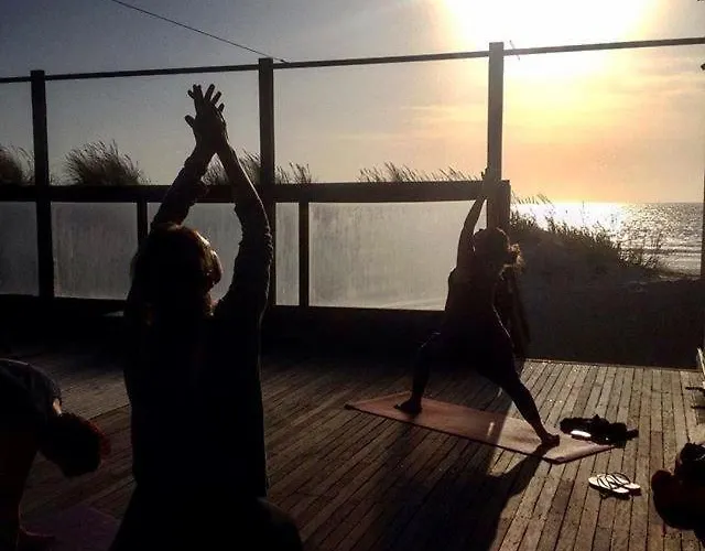 Bico Flores Praia de Mira