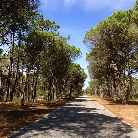 Nyaraló Bico Flores