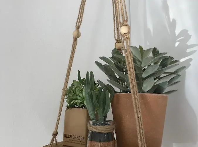 Bico Flores Tatil Evi *