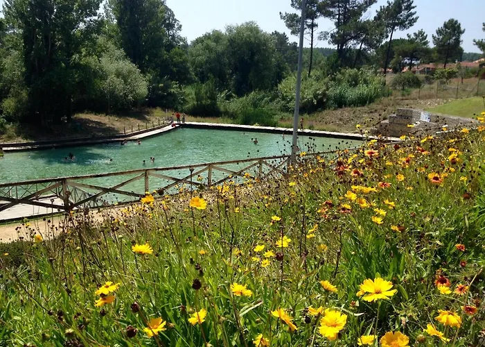 Bico Flores Praia de Mira