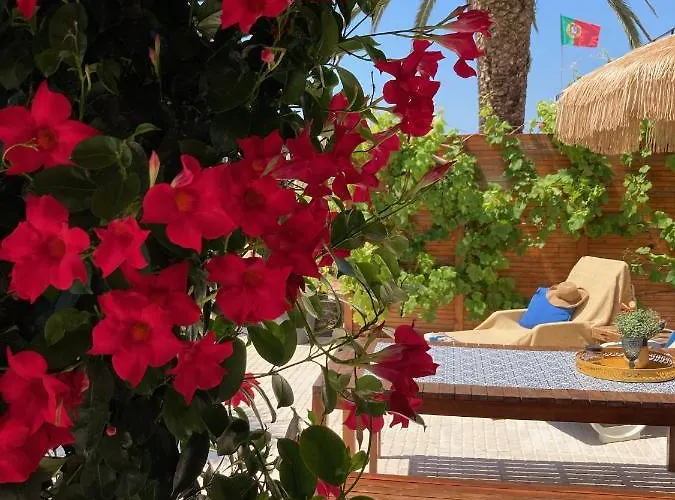 Bico Flores Tatil Evi