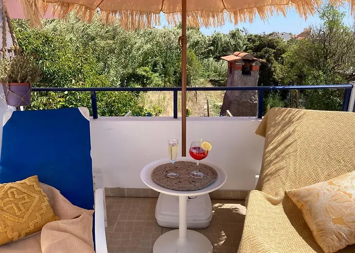 Bico Flores Praia de Mira