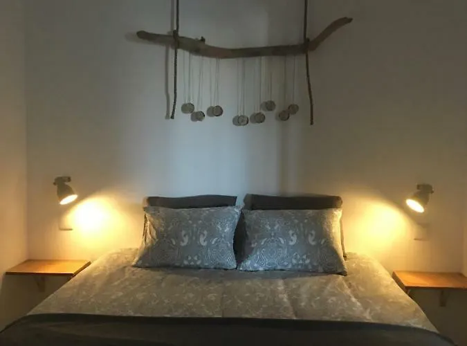 Bico Flores Praia de Mira